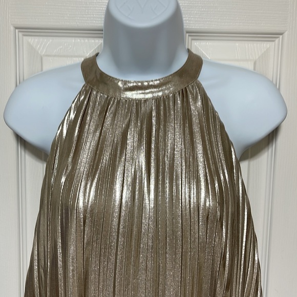 THML Shimmering Champagne/Gold Color Swing Dress - Picture 2 of 9